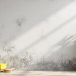 Comment identifier et traiter une tache d’humidité sur un mur en chaux apprenez à reconnaître les taches d’humidité sur un mur en chaux et découvrez les méthodes efficaces pour les traiter et préserver la qualité de vos murs.